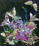 Hawkmoths